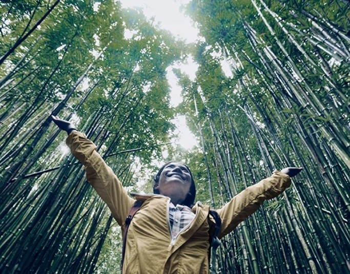 Woman in bamboo forest image