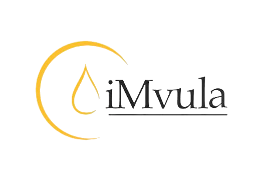 imvula logo