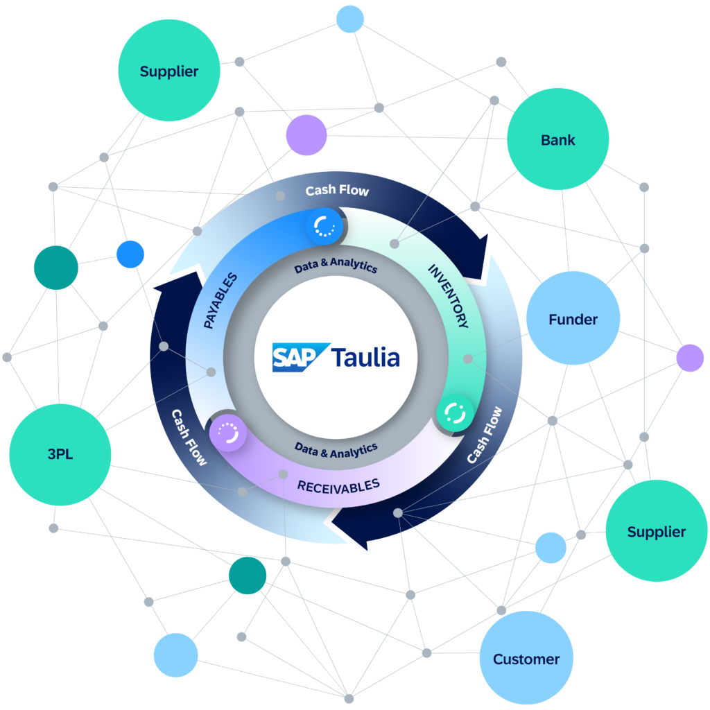 SAP Taulia network diagram