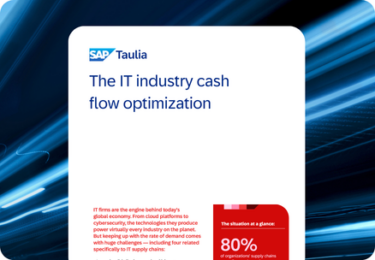The IT industry cash flow optimization featured image
