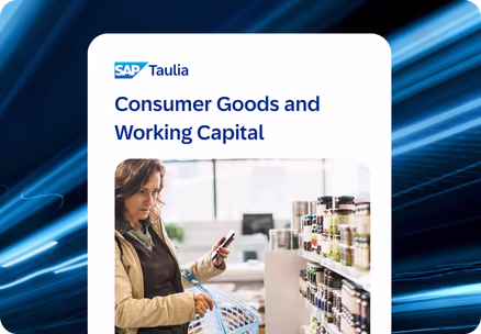 consumer goods working capital datasheet thumbnail