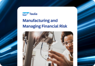 manufacturing financial risk datasheet thumbnail