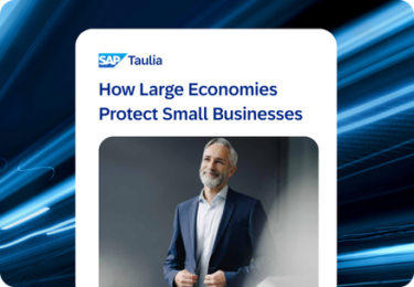 how large economies protect small businesses datasheet thumbnail