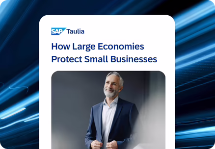 how large economies protect small businesses datasheet thumbnail