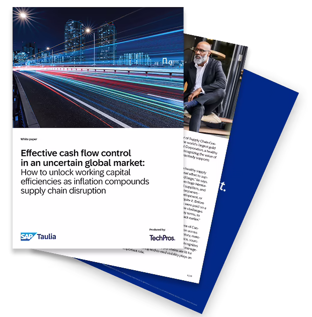 effective cash flow control whitepaper fan image