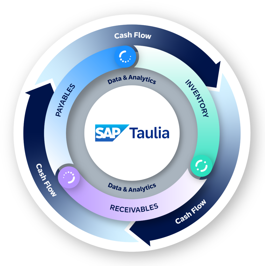 SAP Taulia Platform Relationship Diagram