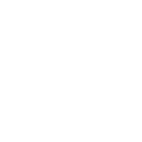 funding white icon